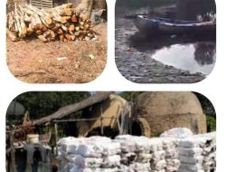 Bapak Kapolda Riau ! Tindak Tegas Dan Proses Hukum Mafia Arang Ilegal Di Daerah Nerbit Kecil