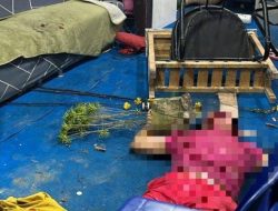 Seorang Waria di Kota Kendari Jadi Korban Penganiyaan Hingga Tidak Sadarkan Diri