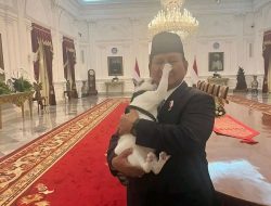 Presiden Prabowo Subianto Akan Kunjungi Ke China