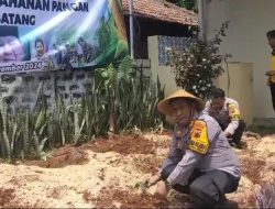 Polres Batang Berdayakan Lahan Terbengkelai dengan Pertanian Produktif