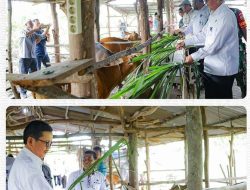 Pemkot Dumai Serahkan Bantuan Sosial Hewan Ternak & Pupuk Perkebunan