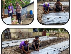 Mantap !! Polsek Cerenti Dukung Program ASTA CITA dengan Persiapan Penanaman Cabai di Lahan Percontohan