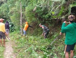 Babinsa Kodim 1428/Mamasa Gotong Royong Bersihkan Jalan Tani
