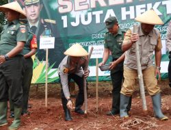 Polres Batang Dukung Swasembada Pangan Lewat Penanaman Jagung