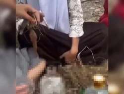 Video Viral Diduga Siswi SMA di Kolaka Pakai Seragam Sekolah Miras Sambil Merokok