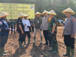 Sukses ! Polres Dumai Laksanakan Giat Penanaman Jagung Composite Di Lahan Koperasi Agro Yoga Usaha Pelintung Kota Dumai