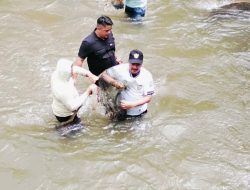 Antusias Masyarakat Pungut Tengah Sambut Kedatangan Bupati Kerinci,Resmi Pembukaan Lubuk Larangan