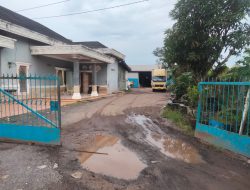 Masyarakat Keluhkan Gudang Siluman Pakan Ayam di Kelurahan Tanah Mas