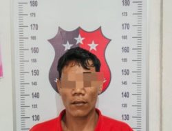 Polsek Tanjung Lago Berhasil Ringkus Pelaku Pencurian Buah Kelapa Sawit