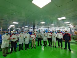 Indomie Mesir Hadirkan Bumbu langsung dari Indonesia 