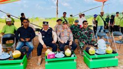 Kapolsek Pulau Rimau Hadiri Penanaman Bibit Jagung di Lahan PT. CVA Desa Selat Penuguan