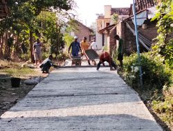 Pekon Pujiharjo Realisasikan Pembangunan Rabat Beton Untuk Meningkagkan Infrastruktur.