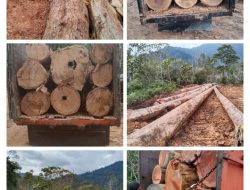 Ilegal Logging Kian Meresahkan Warga di Tapsel, APH Diminta Tindak Tegas Inisial J RTG Diduga ASN yang Menyalahgunakan Kewenangan