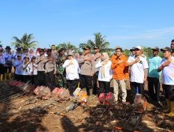 Sukseskan Program Presiden,Polres Musi Rawas Bersama Unsur Terkait Tanam Jagung di Lahan Binaan Ponpes Ma’had Darussalam 
