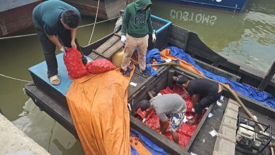 Sukses ! Bea Cukai 8006 Bersama Jajaran Aparat Penegak Hukum Berhasil Gagalkan Bawang Ilegal Dari Malaysia .