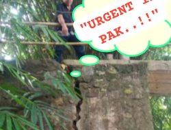 DARURAT .! Puluhan Tahun Retak, Jembatan Di Desa Bagelen Tak Kunjung Diperbaiki