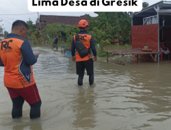 Banjir Kali Lamong Rendam Lima Desa di Gresik: Warga Diminta Waspada, Arus Deras di Jembatan Pucung Jadi Sorotan