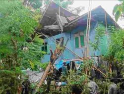 Pohon Kelapa Mati Tumbang Timpa Dapur Rumah Warga di Tinambung, Polisi dan Warga Lakukan Evakuasi