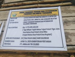Mega Proyek di Konawe Selatan Dipastikan Menyeberang Tahun, Kontraktor Dihantui Pajak, PPK Dibayangi APH