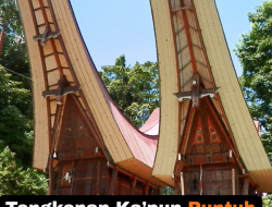 Tongkonan Ka’pun Runtuh: Luka Kolektif Toraja dan Serangkaian Kejanggalan Hukum yang Mengusik Keadilan