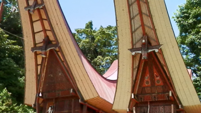 Tongkonan Ka’pun Runtuh, Jumat, 5 Desember 2025