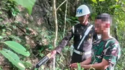 Ternyata Pelaku Bunuh Wanita Seorang Oknum TNI Yang Masih Aktif Batalyon Infanteri Teritorial Pembangunan (Yonif TP) 823 Raja Wakaaka, Kodam XIV/Hasanuddin.