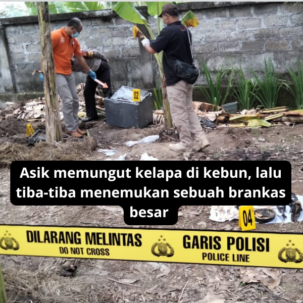 asik memungut kelapa di kebun, lalu tiba-tiba menemukan sebuah brankas besar