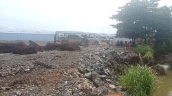 Diduga Mandek, Penanganan Kasus Penyerobotan Lahan Hj. Muliati oleh PT IPIP dan PT Rimau Disorot Publik