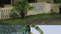 Aparat Tutup Mata Terkait Penambang Pasir Ilegal Yang Semakin Menjamur DIwilayah Kabupaten Tulungagung