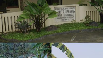 Aparat Tutup Mata Terkait Penambang Pasir Ilegal Yang Semakin Menjamur DIwilayah Kabupaten Tulungagung